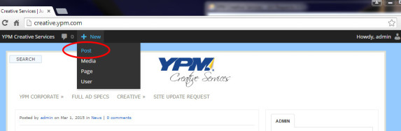 How to Add a New Post or Page